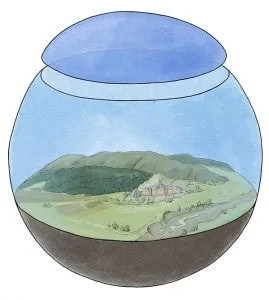 Picture